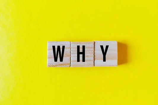 Essential Questions for Student Reflection