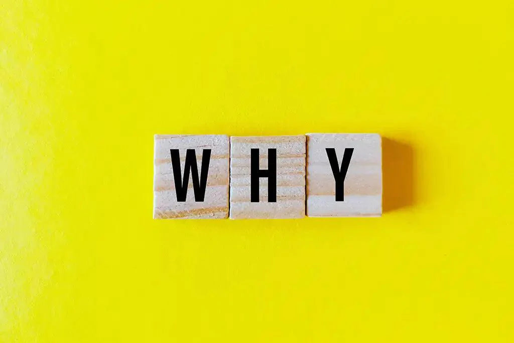 Essential Questions for Student Reflection